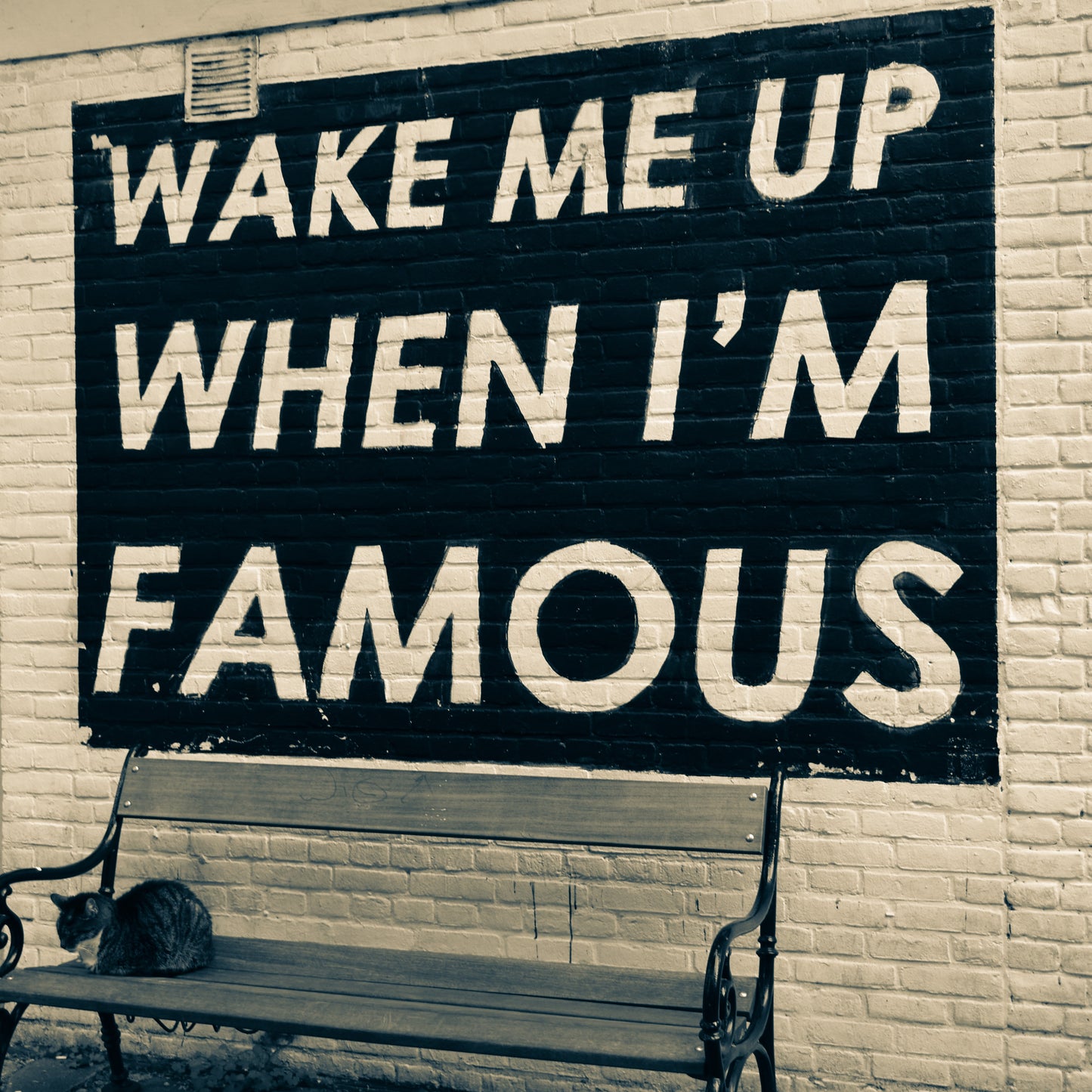 Wake Me Up When I'm Famous Bench